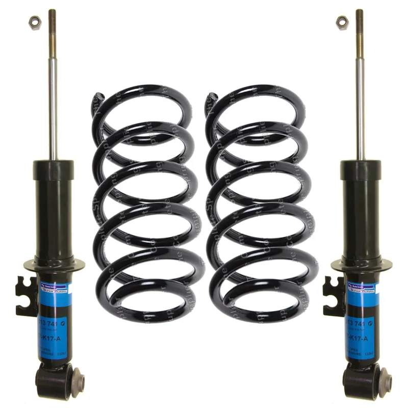 Sachs 5403581 - Suspension Strut and Coil Spring Kit (Rear) Professional Grade