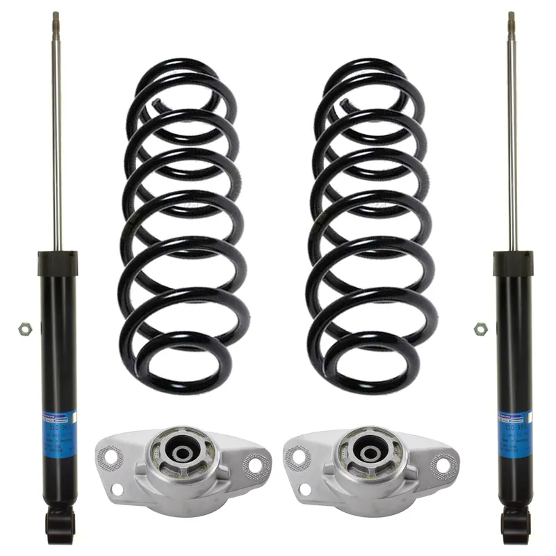 New Arrival Sachs 5403863 - Suspension Strut and Coil Spring Kit (Rear)