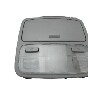 Certified Genuine Kia 928202E000EZLamp Assembly-OVERHEADEAD Console