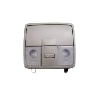 Best Choice Genuine Kia 928101M0008OLamp Assembly-OVERHEADEAD Console